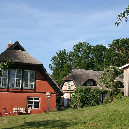Dorphus Βίλα Neuenkirchen auf Rugen Εξωτερικό φωτογραφία